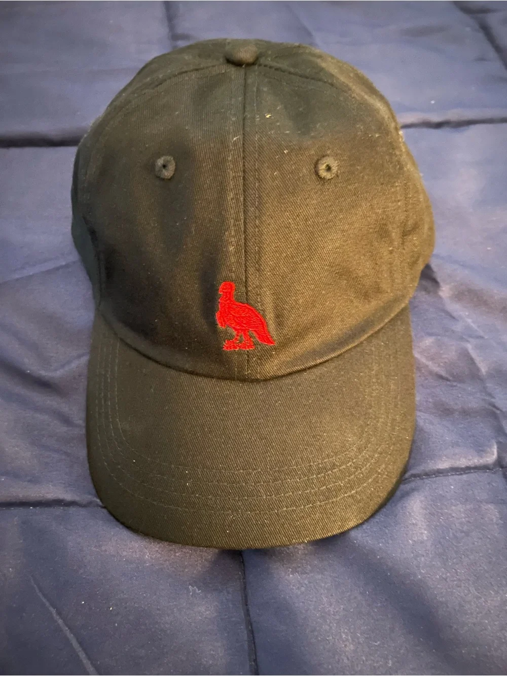 Black Baseball Cap with Red Embroidered Bird